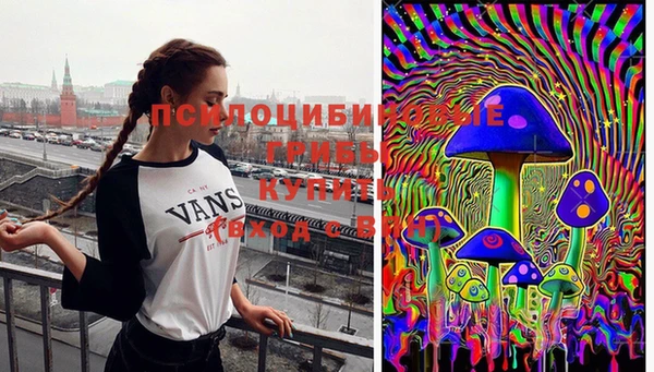 бутират Верхний Тагил